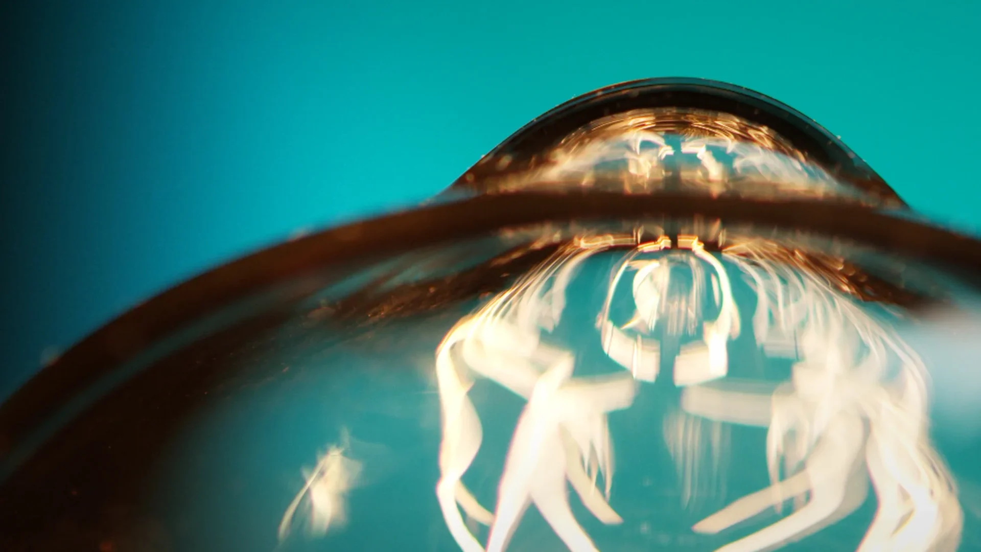 Light Bulb